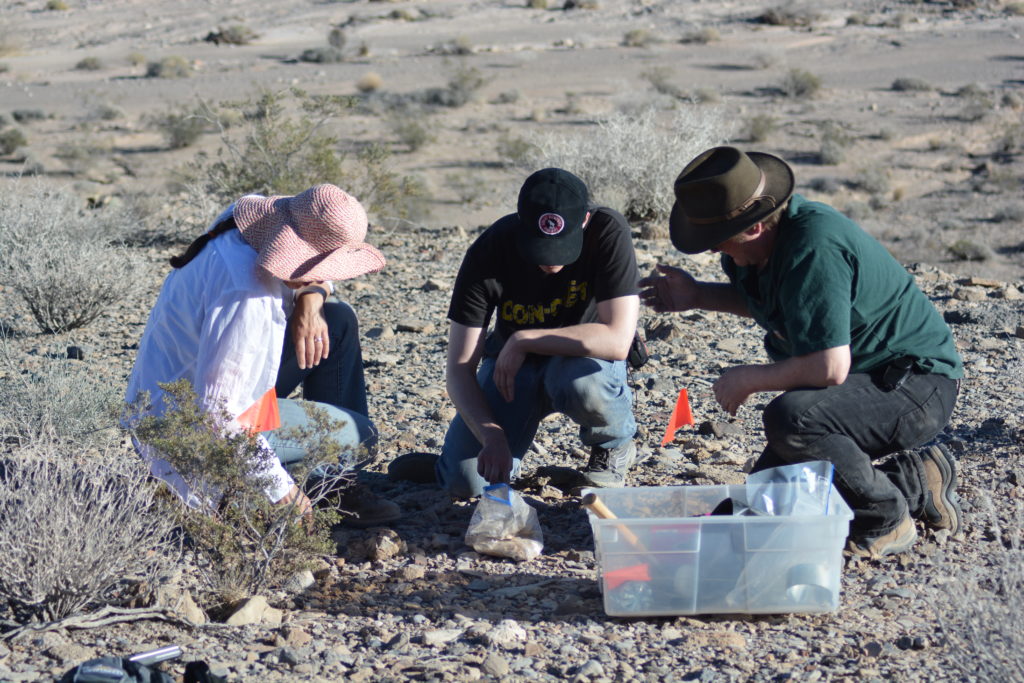 Pamela C. Burnley – Unlv Geoscience