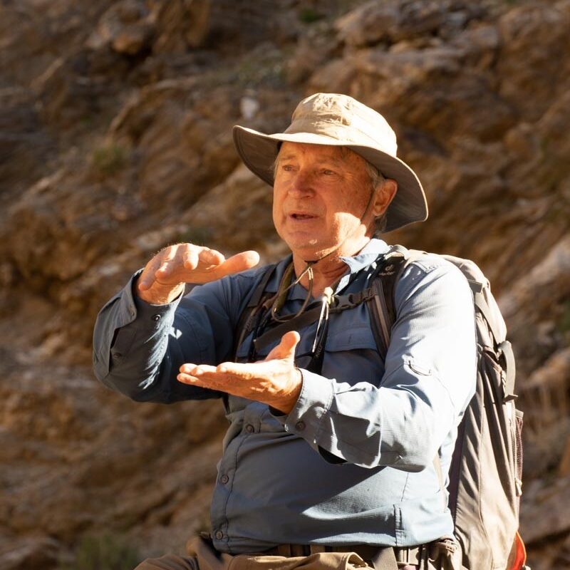 Picture of Michael Wells, professor